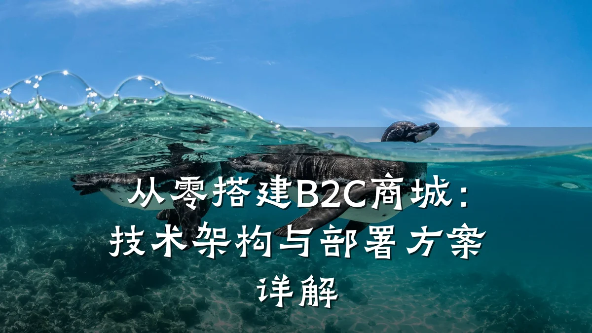 从零搭建B2C商城：技术架构与部署方案详解