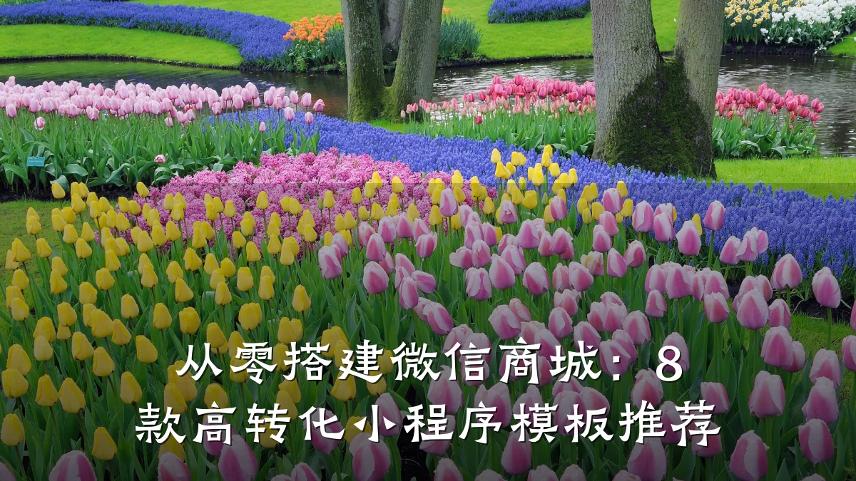 从零搭建微信商城:8 款高转化小程序模板推荐
