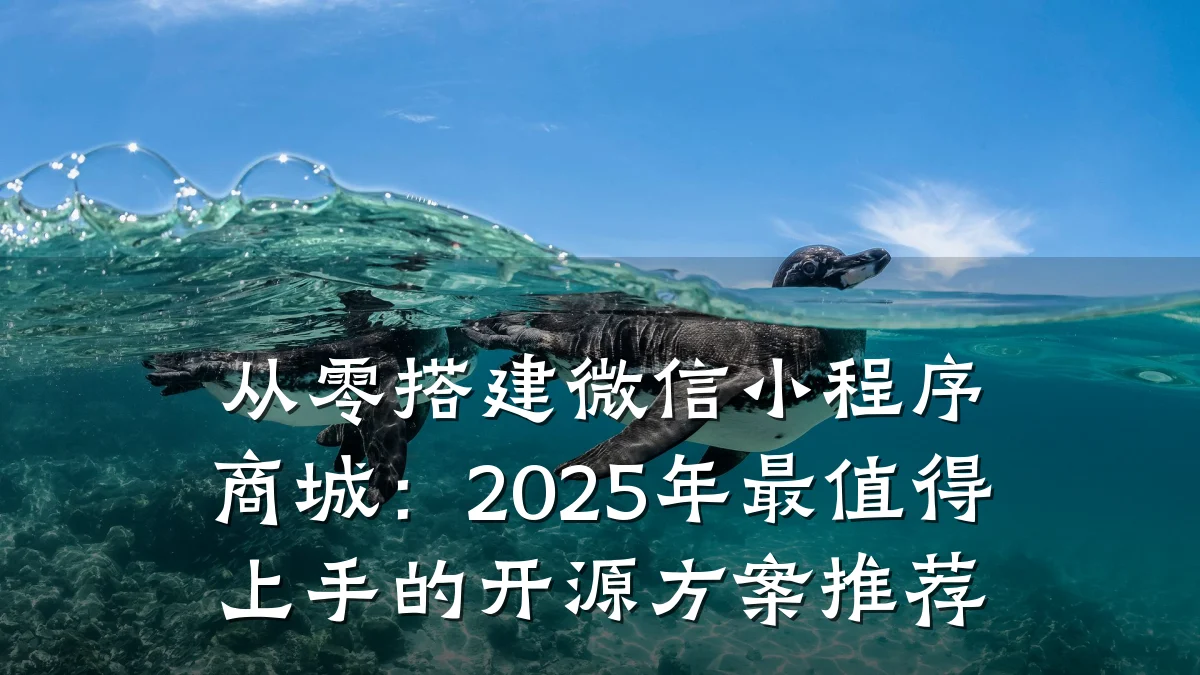 从零搭建微信小程序商城：2025年最值得上手的开源方案推荐