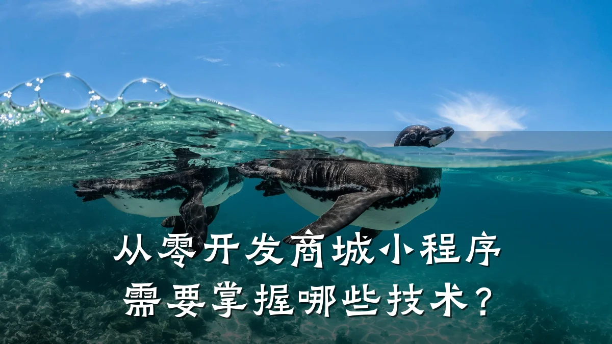 从零开发商城小程序需要掌握哪些技术?