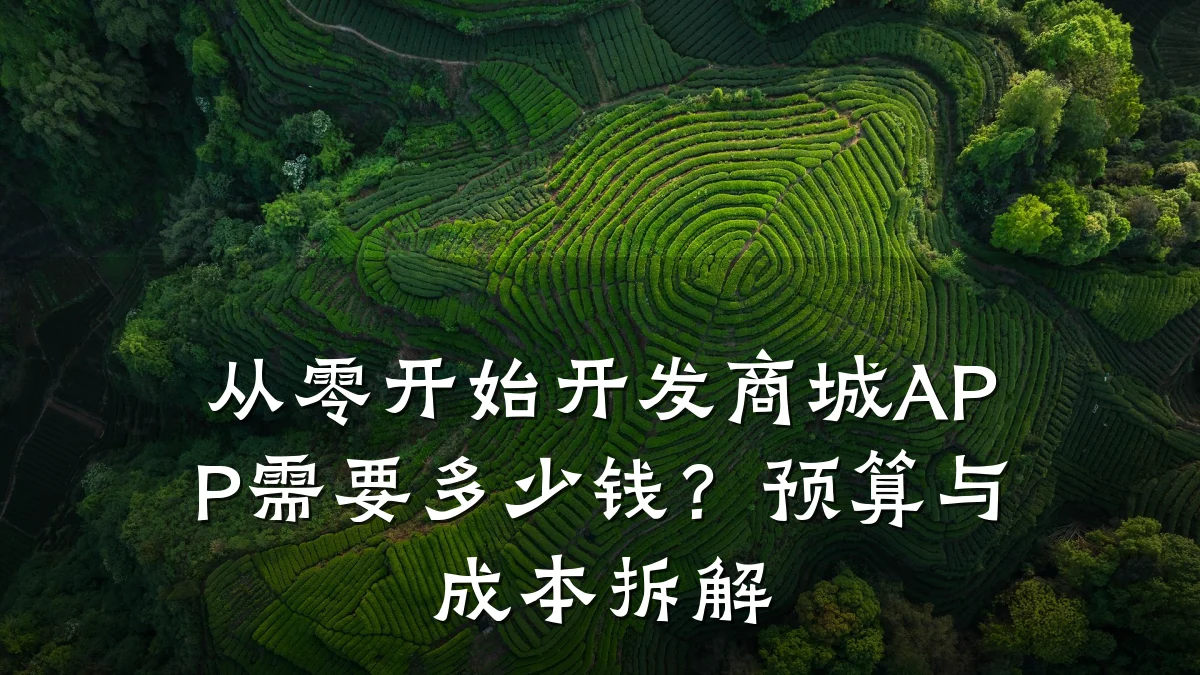 从零开始开发商城APP需要多少钱？预算与成本拆解