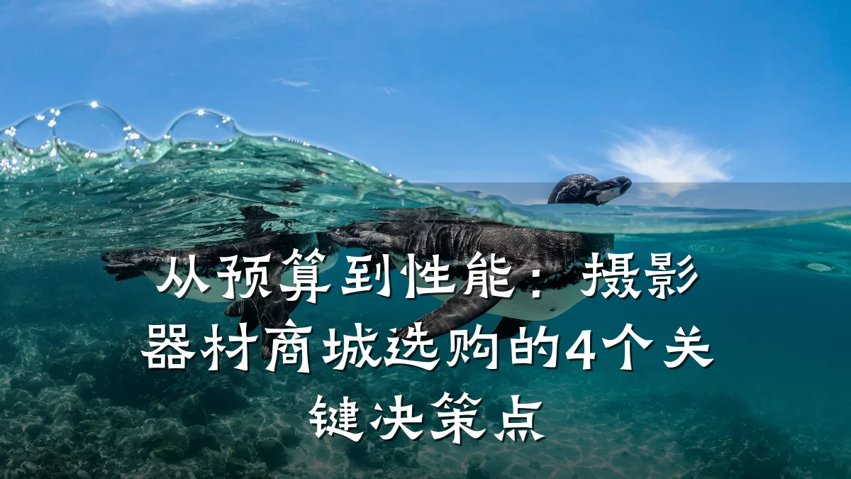 从预算到性能:摄影器材商城选购的4个关键决策点