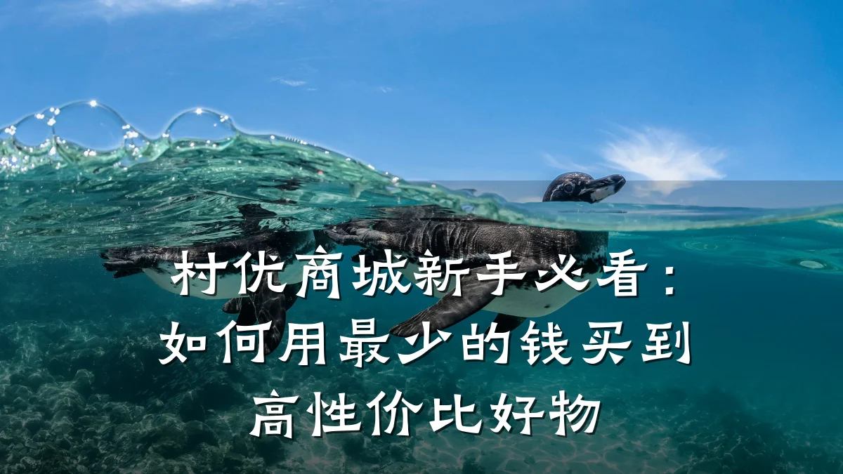 村优商城新手必看:如何用最少的钱买到高性价比好物
