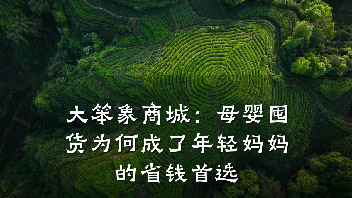 大笨象商城:母婴囤货为何成了年轻妈妈的省钱首选