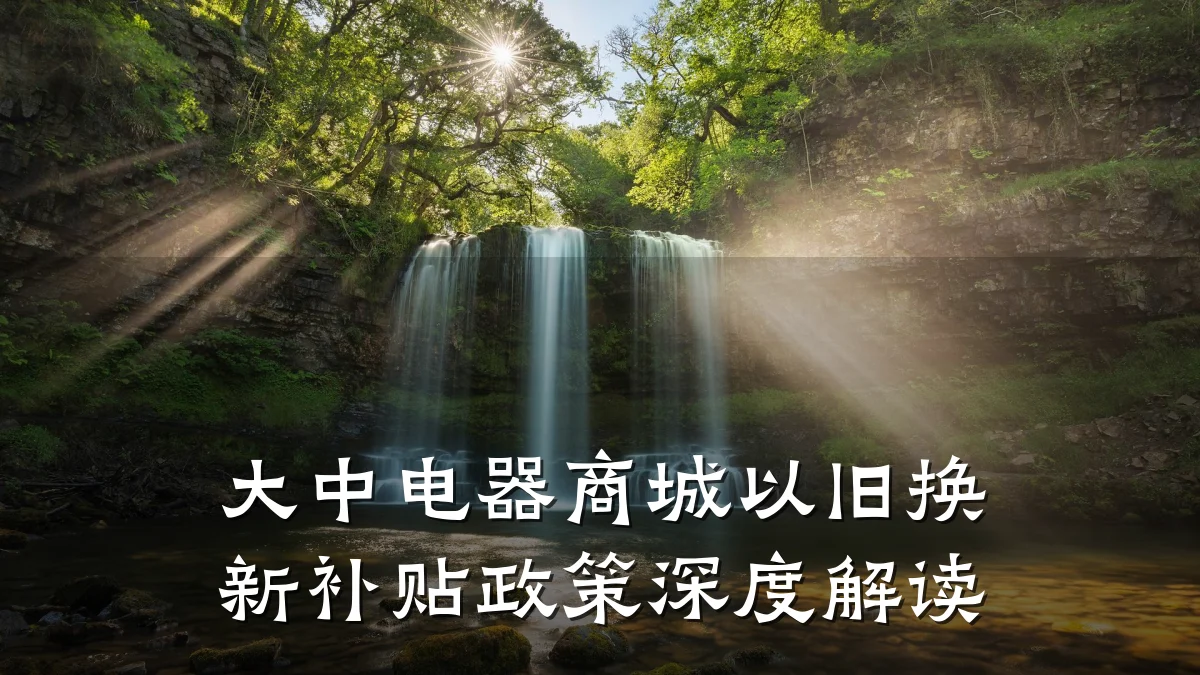 大中电器商城以旧换新补贴政策深度解读