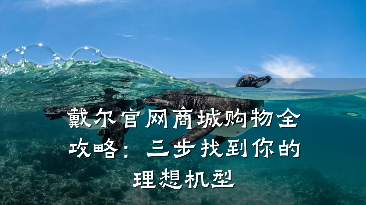 戴尔官网商城购物全攻略:三步找到你的理想机型