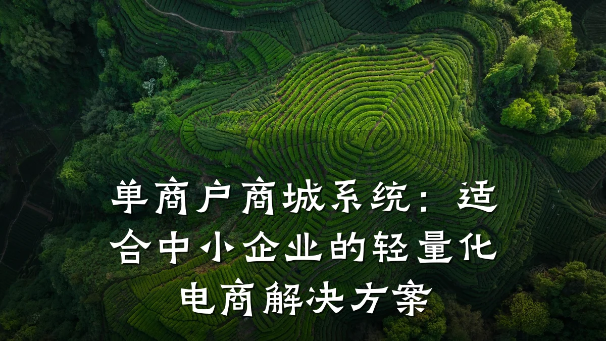 单商户商城系统:适合中小企业的轻量化电商解决方案