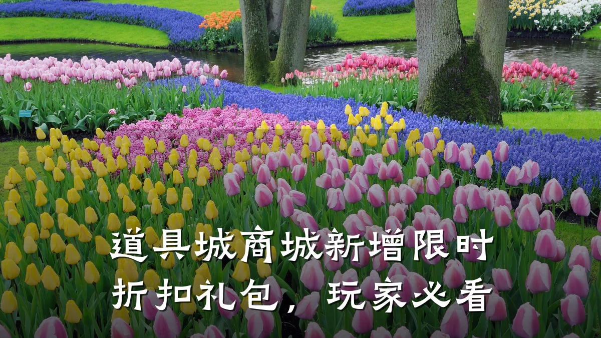 道具城商城新增限时折扣礼包，玩家必看