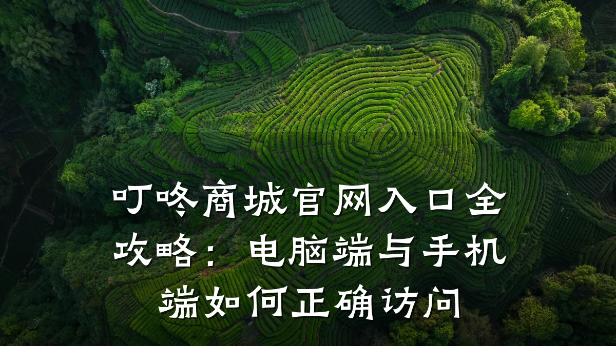 叮咚商城官网入口全攻略:电脑端与手机端如何正确访问