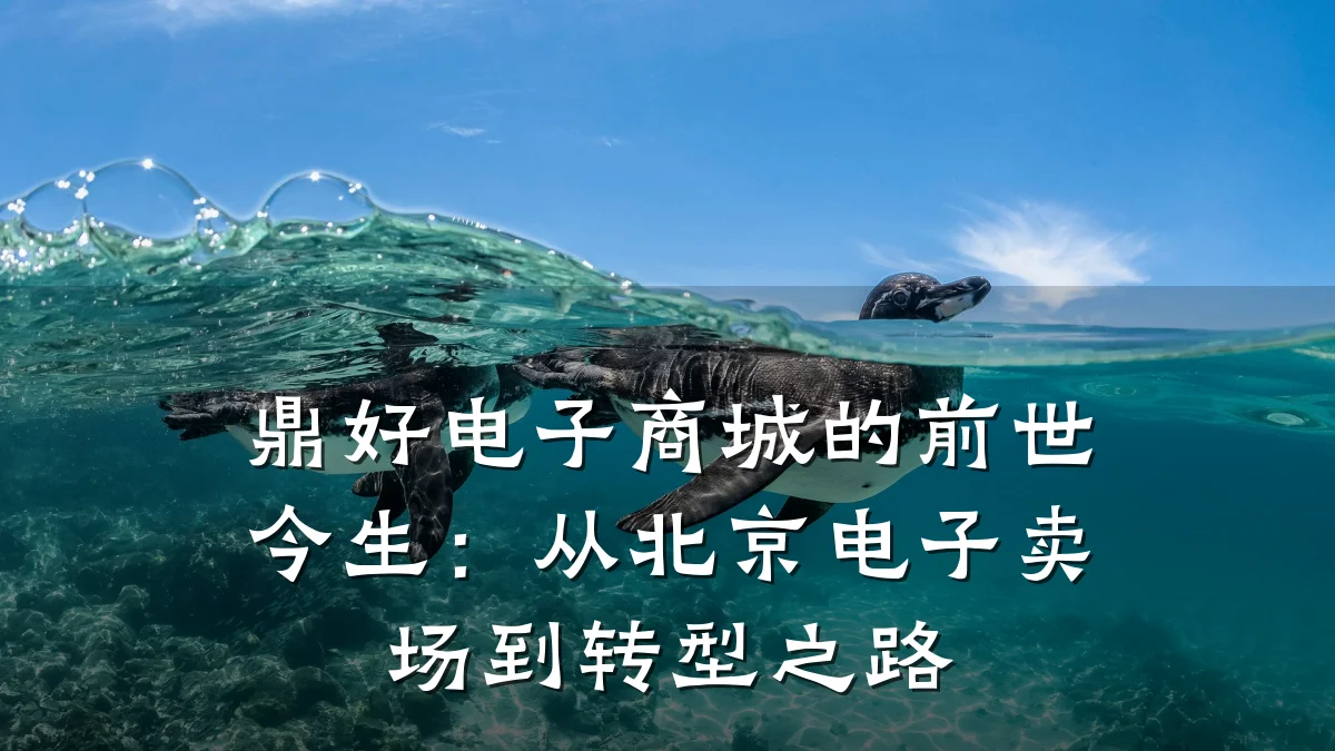 鼎好电子商城的前世今生：从北京电子卖场到转型之路