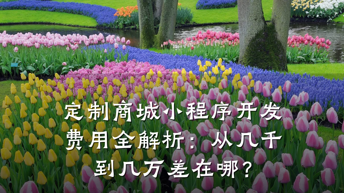 定制商城小程序开发费用全解析：从几千到几万差在哪？