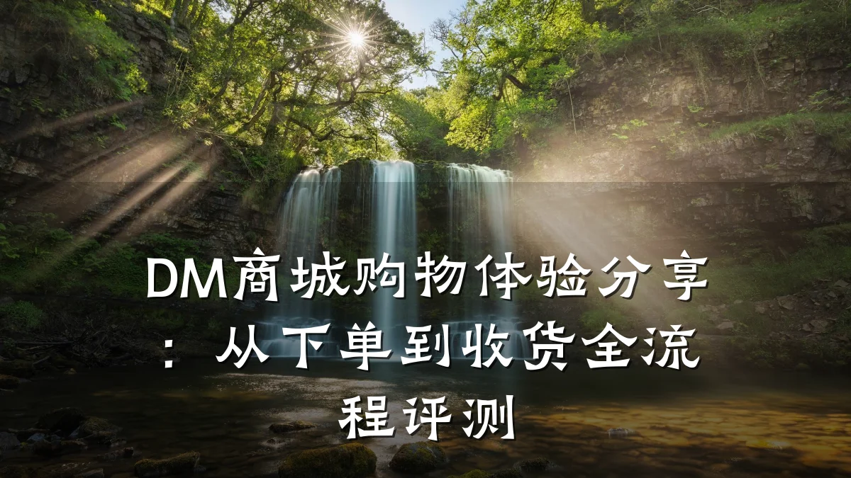 DM商城购物体验分享：从下单到收货全流程评测