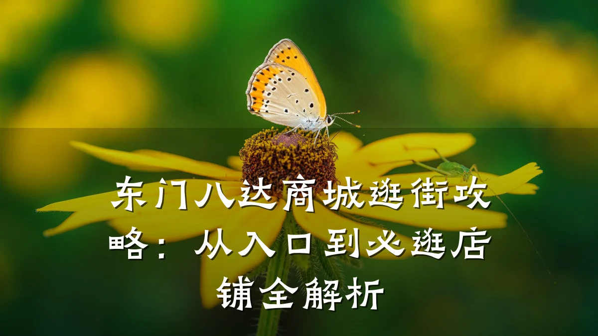 东门八达商城逛街攻略:从入口到必逛店铺全解析