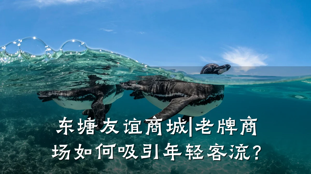 东塘友谊商城|老牌商场如何吸引年轻客流?