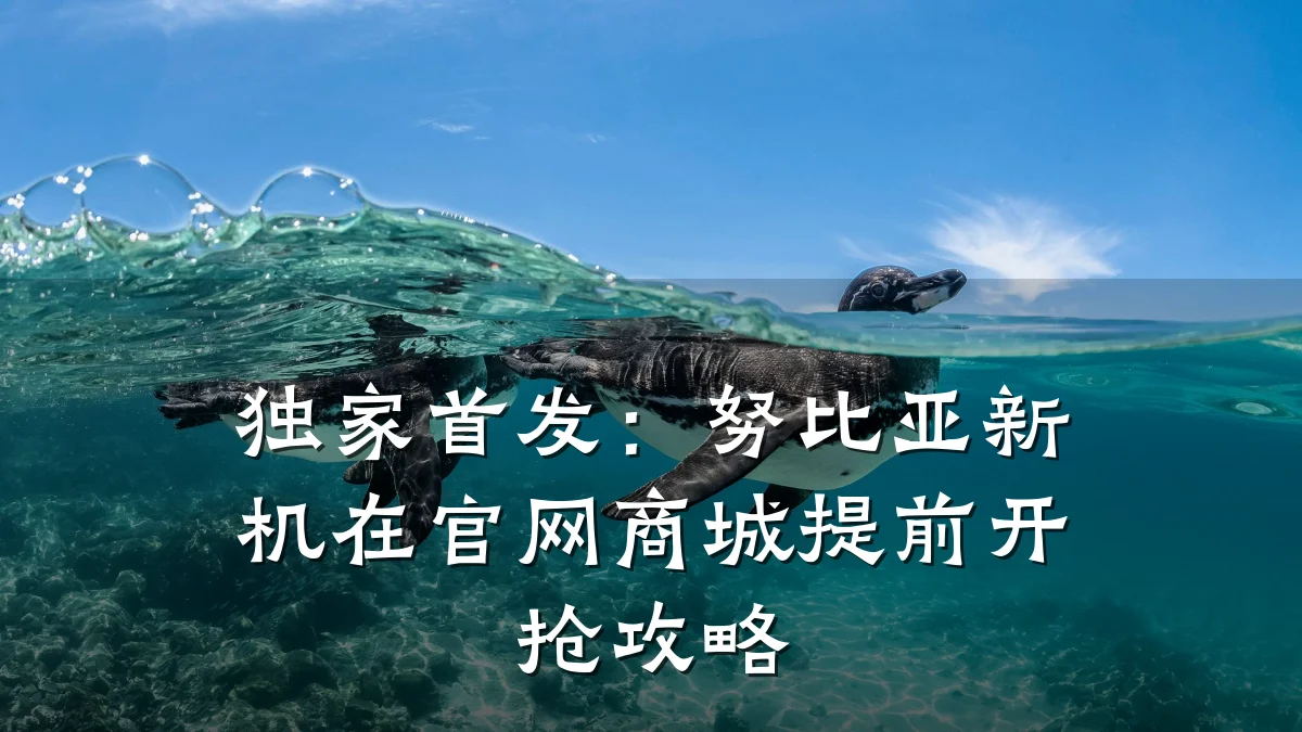 独家首发：努比亚新机在官网商城提前开抢攻略