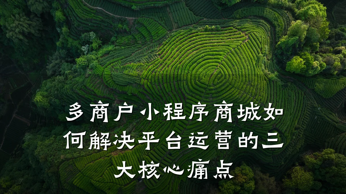 多商户小程序商城如何解决平台运营的三大核心痛点
