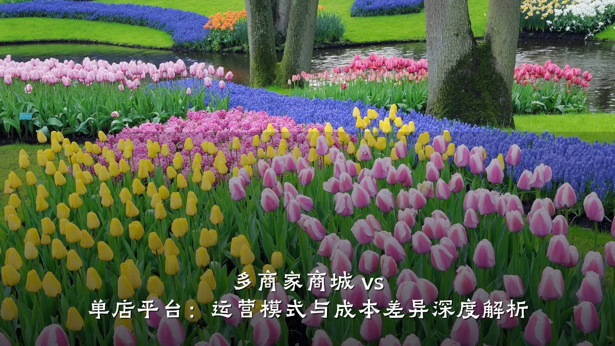多商家商城 vs 单店平台：运营模式与成本差异深度解析