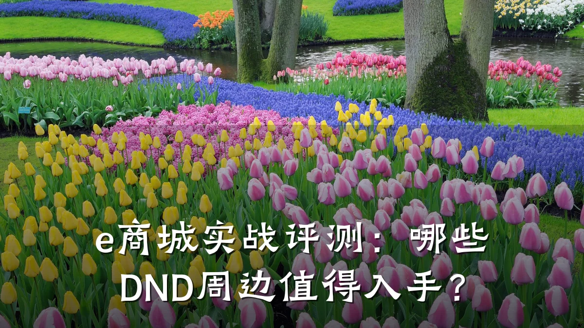 e商城实战评测:哪些DND周边值得入手?