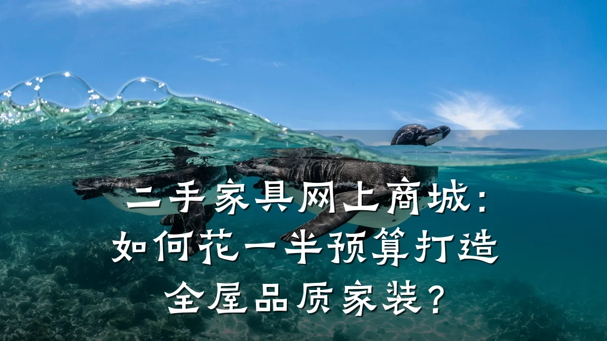 二手家具网上商城：如何花一半预算打造全屋品质家装？