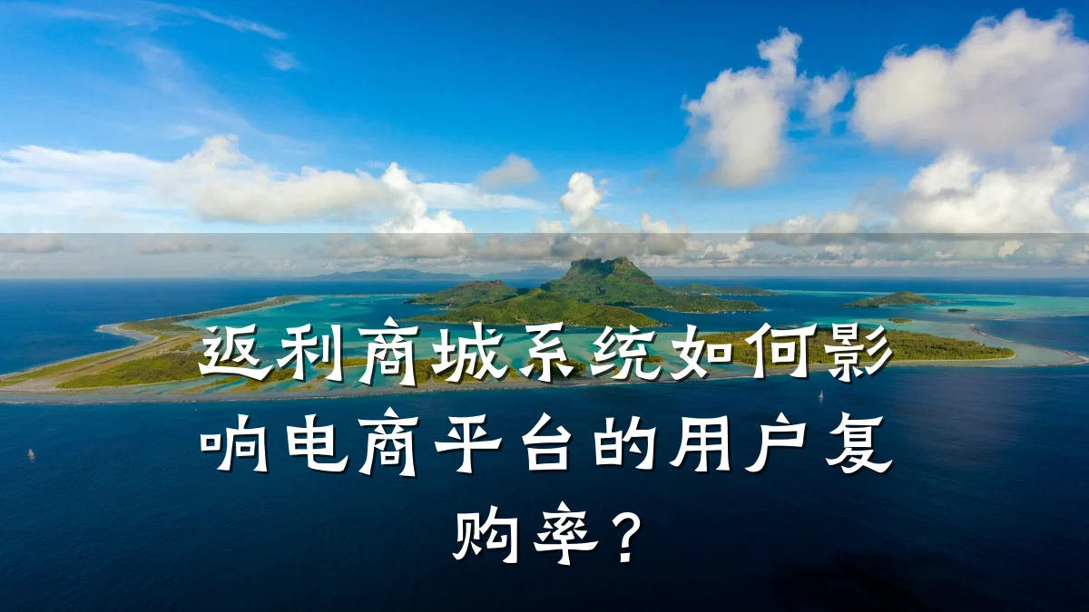返利商城系统如何影响电商平台的用户复购率？