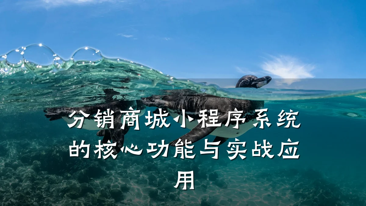 分销商城小程序系统的核心功能与实战应用