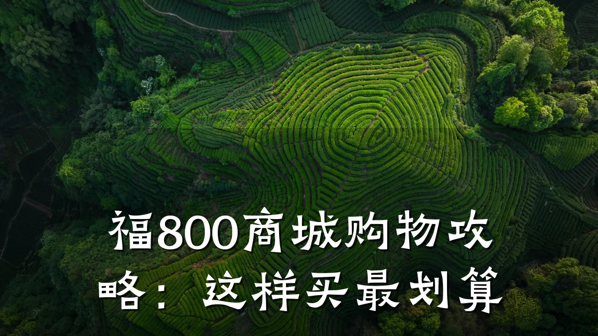 福800商城购物攻略：这样买最划算