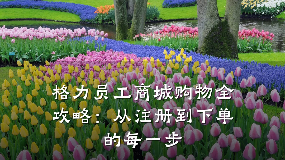 格力员工商城购物全攻略：从注册到下单的每一步