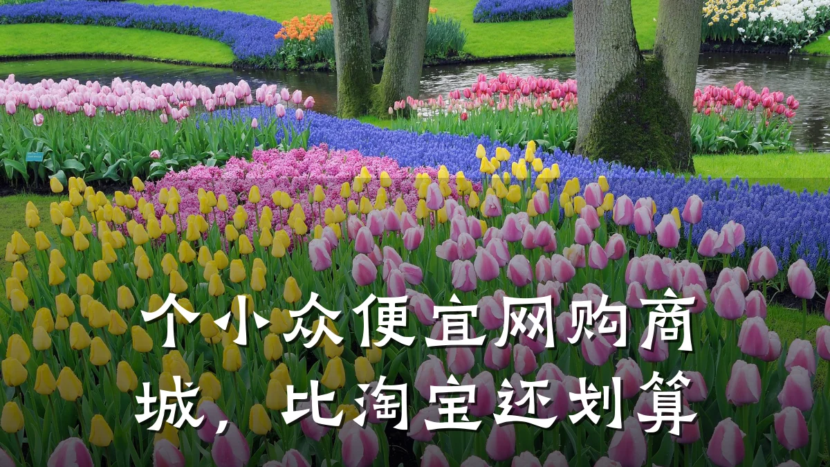 个小众便宜网购商城,比淘宝还划算