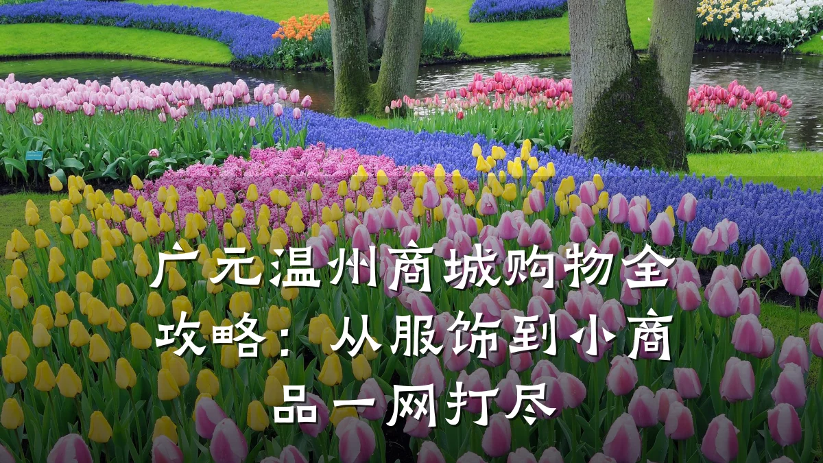 广元温州商城购物全攻略：从服饰到小商品一网打尽