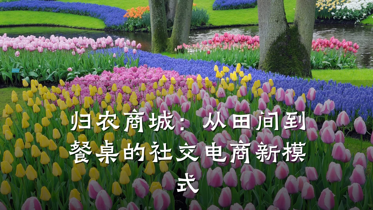 归农商城:从田间到餐桌的社交电商新模式