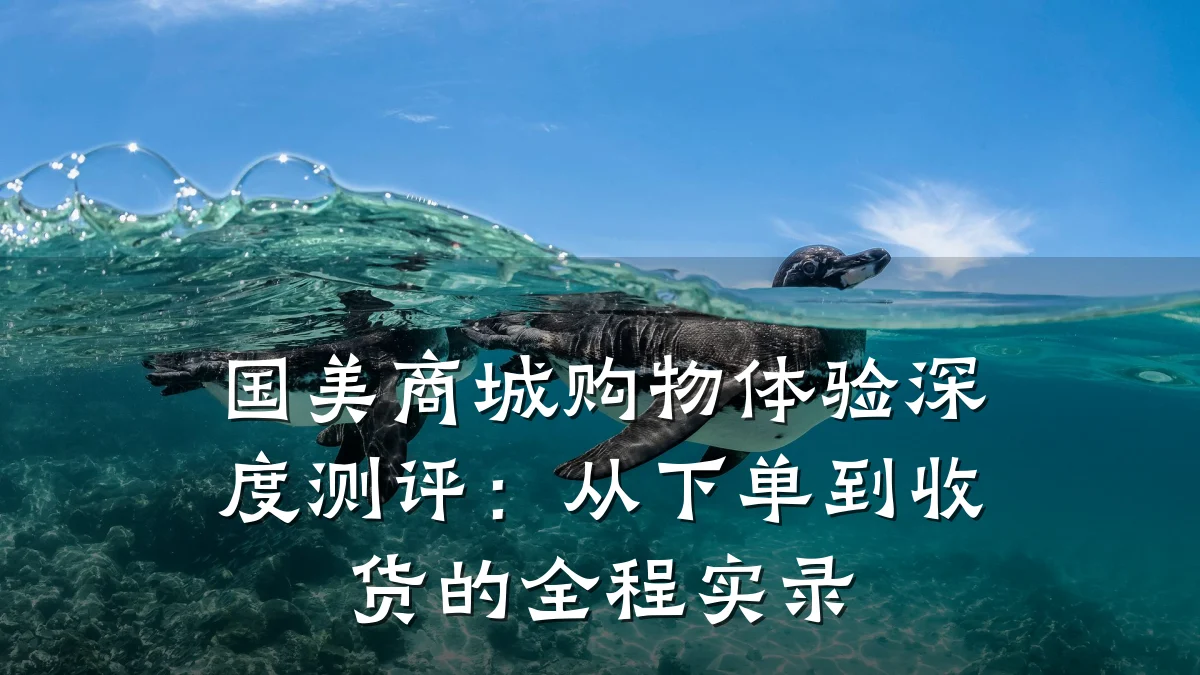 国美商城购物体验深度测评:从下单到收货的全程实录
