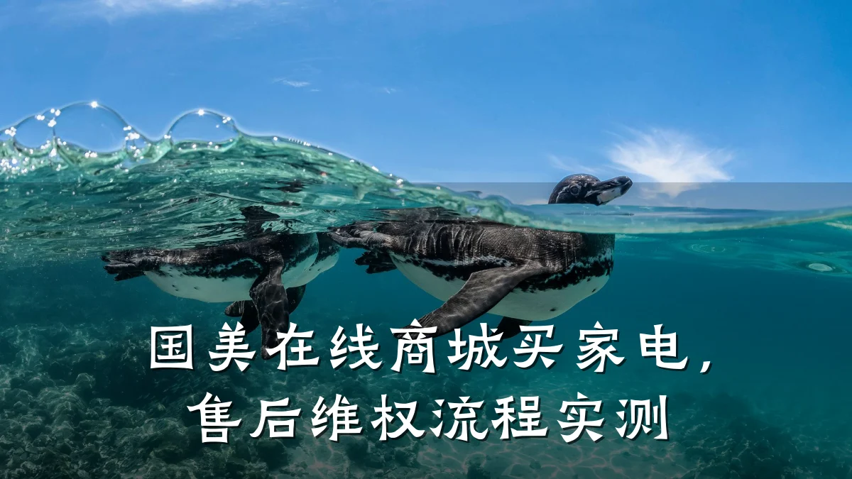 国美在线商城买家电,售后维权流程实测