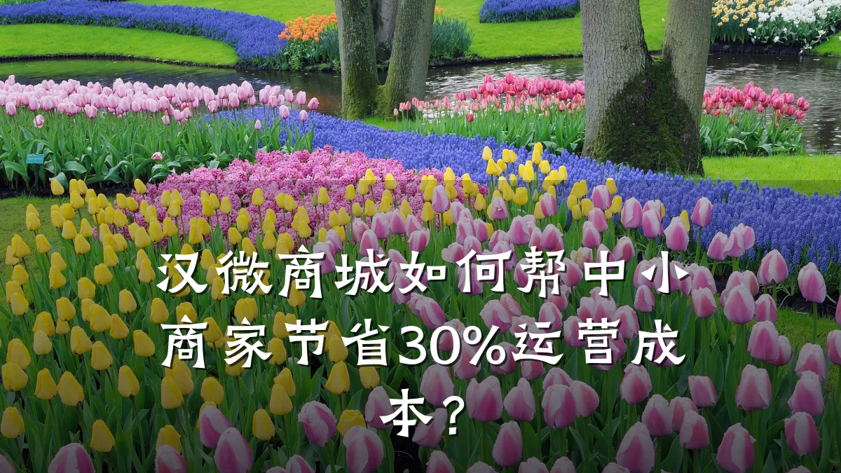 汉微商城如何帮中小商家节省30%运营成本？