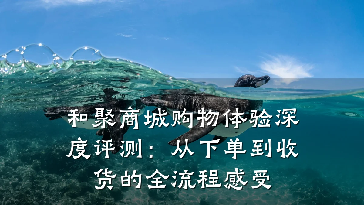 和聚商城购物体验深度评测:从下单到收货的全流程感受