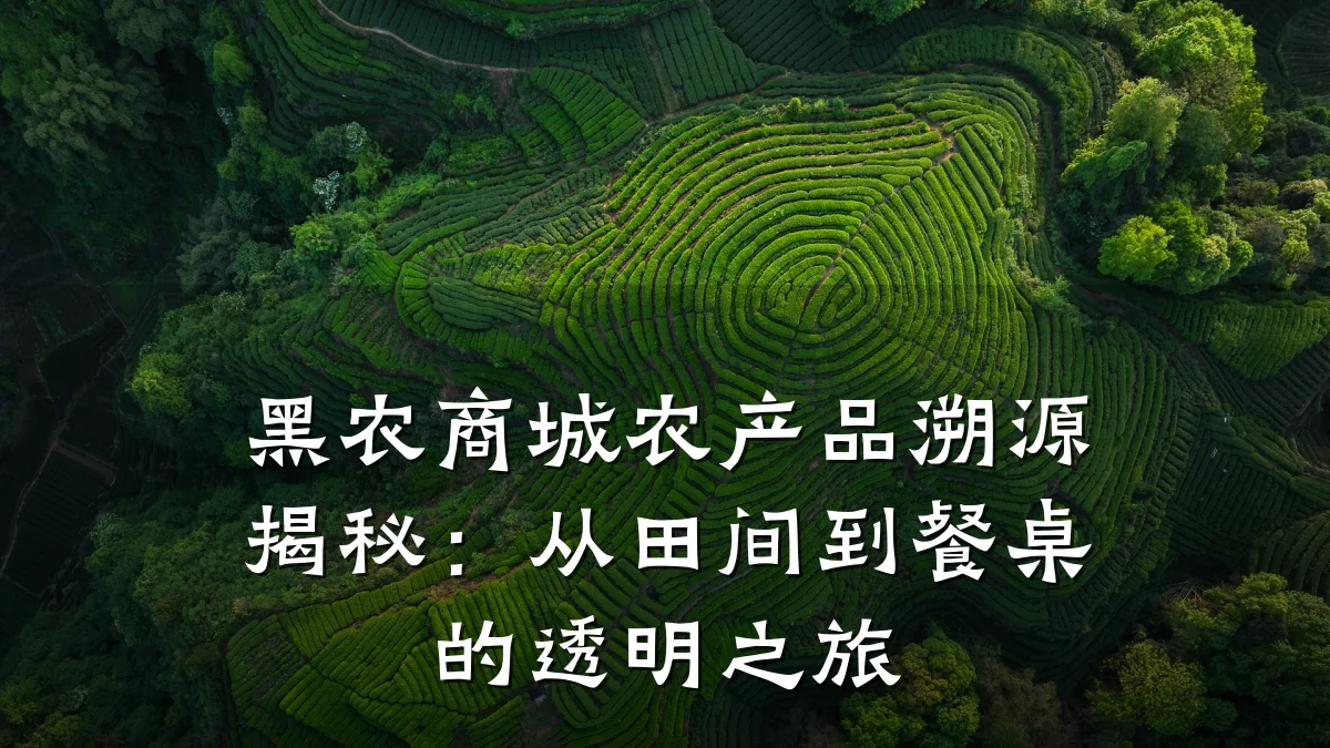 黑农商城农产品溯源揭秘：从田间到餐桌的透明之旅