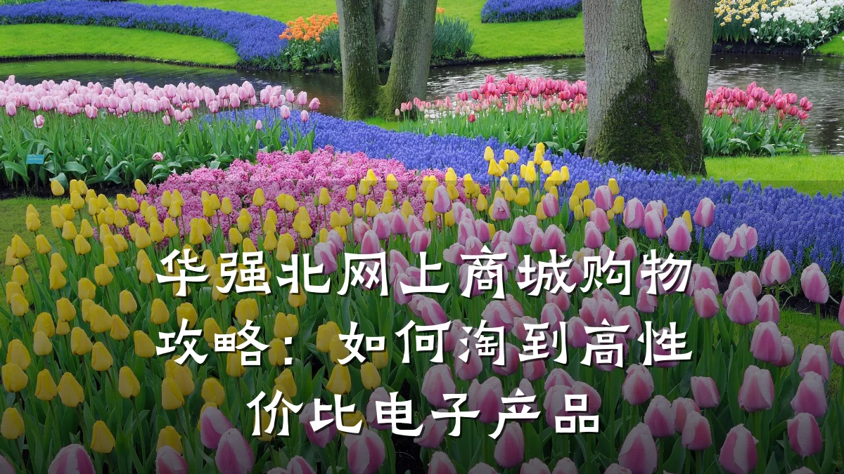 华强北网上商城购物攻略：如何淘到高性价比电子产品