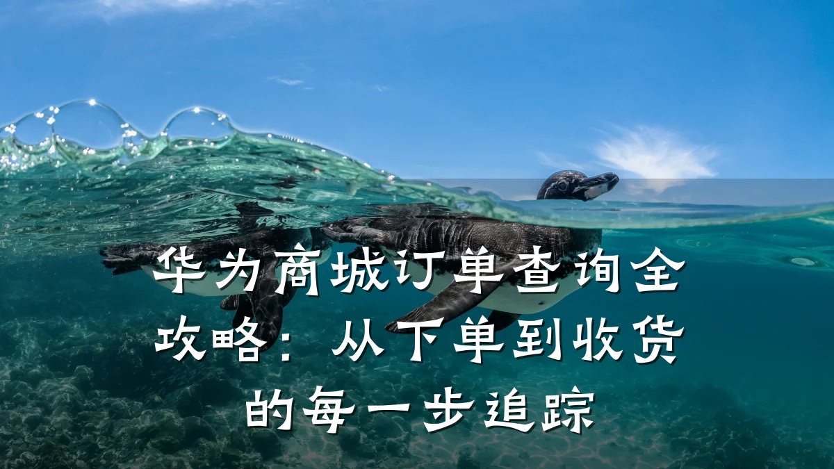 华为商城订单查询全攻略：从下单到收货的每一步追踪