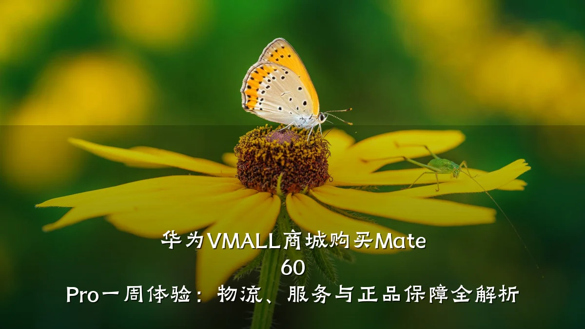 华为VMALL商城购买Mate 60 Pro一周体验：物流、服务与正品保障全解析