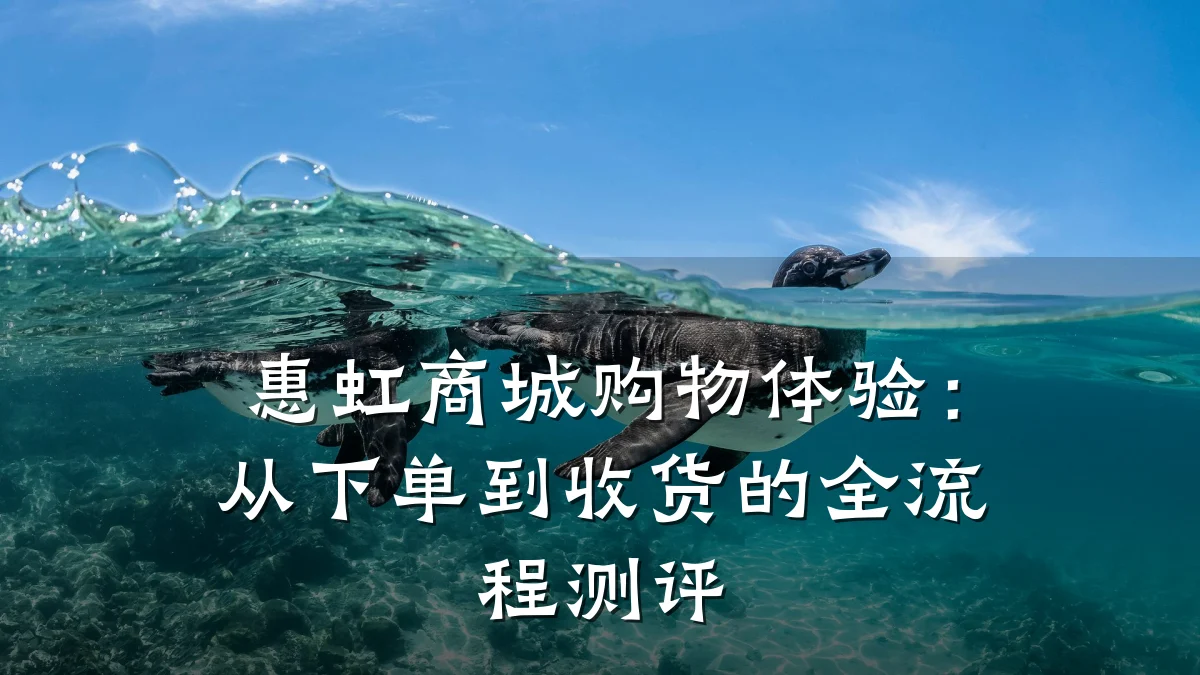 惠虹商城购物体验:从下单到收货的全流程测评