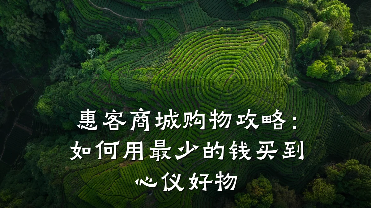 惠客商城购物攻略:如何用最少的钱买到心仪好物
