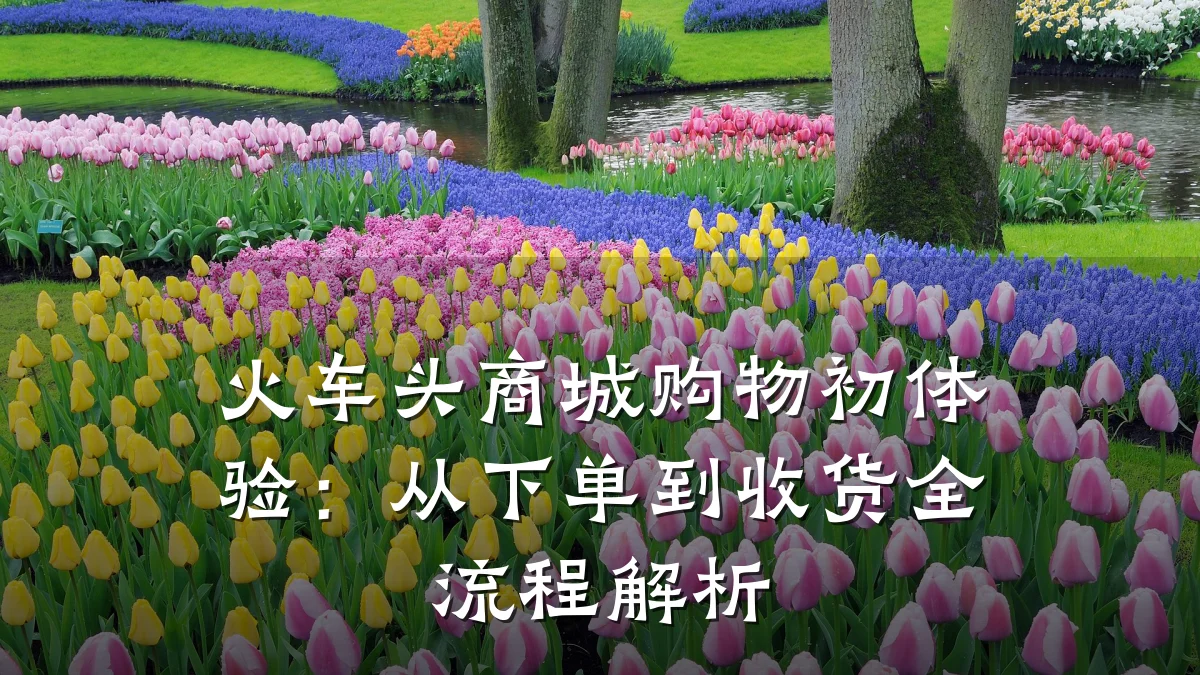 火车头商城购物初体验：从下单到收货全流程解析