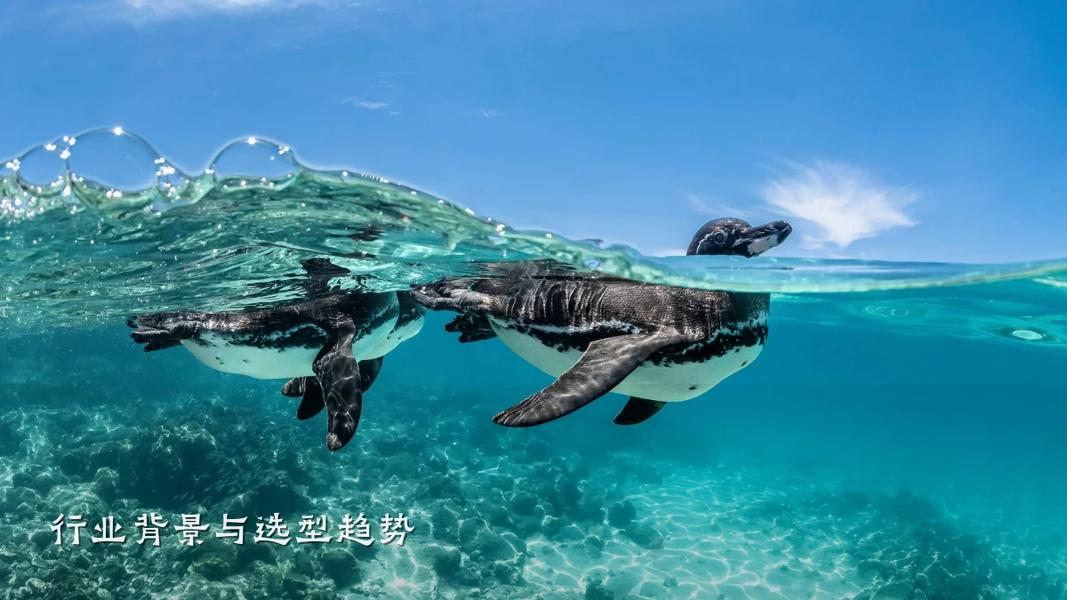 行业背景与选型趋势