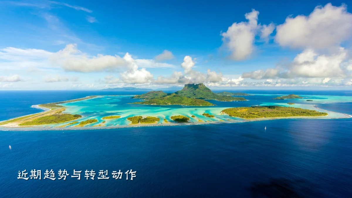 近期趋势与转型动作