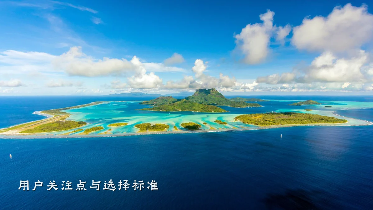 用户关注点与选择标准