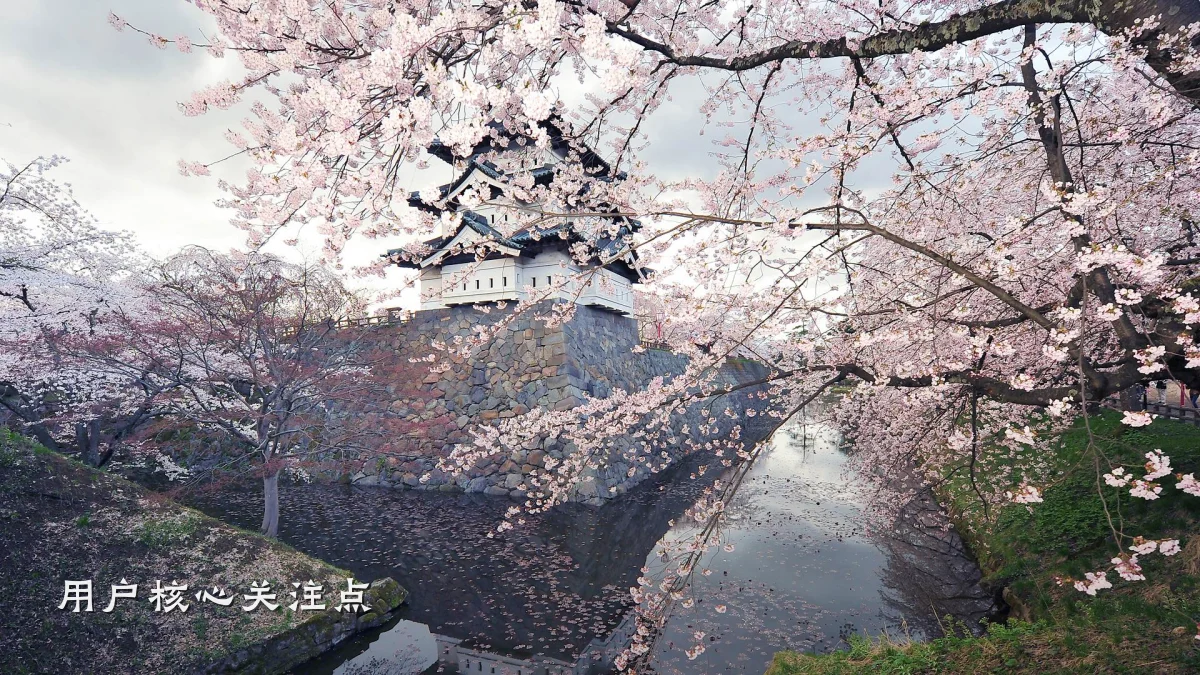 用户核心关注点