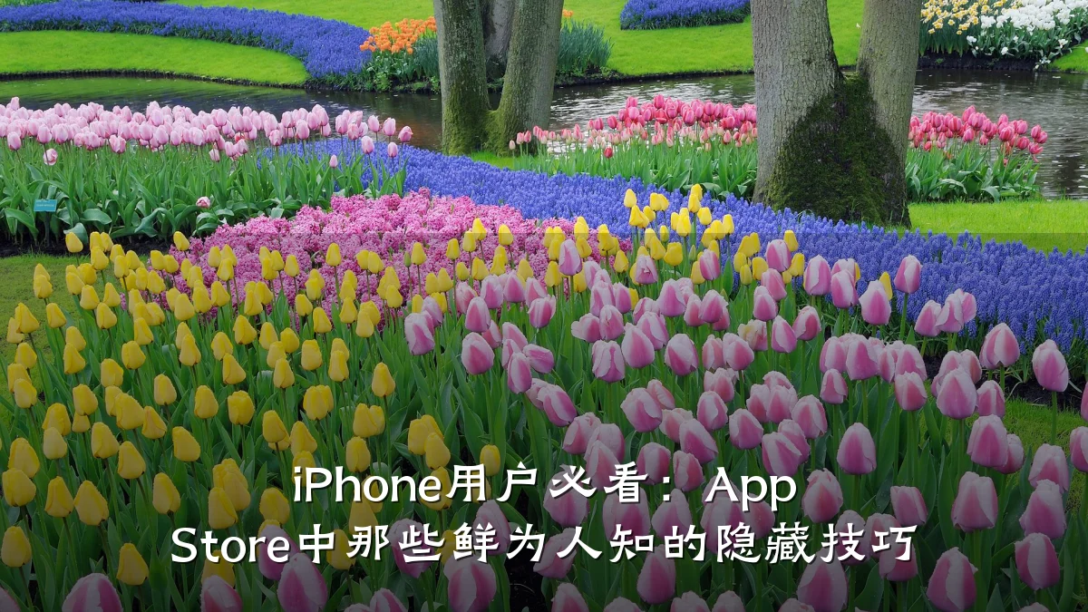 iPhone用户必看：App Store中那些鲜为人知的隐藏技巧