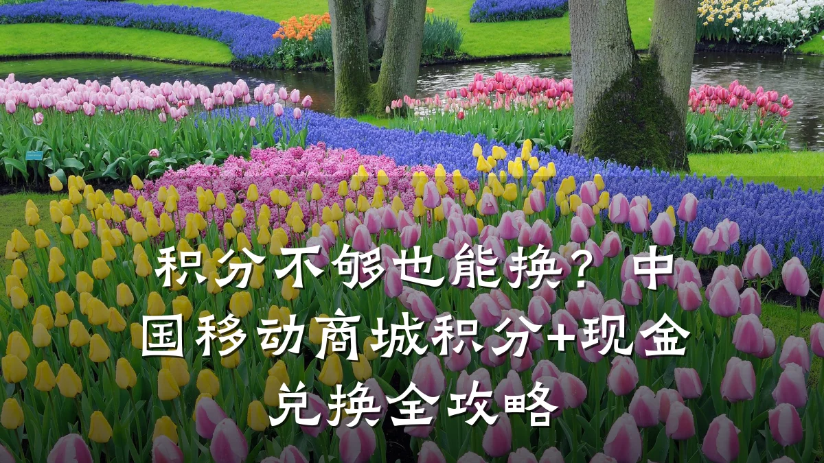 积分不够也能换？中国移动商城积分+现金兑换全攻略