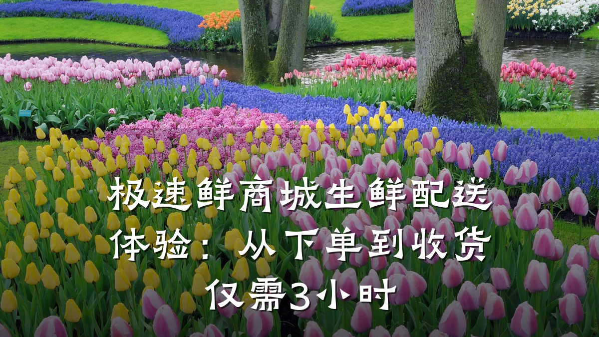 极速鲜商城生鲜配送体验：从下单到收货仅需3小时