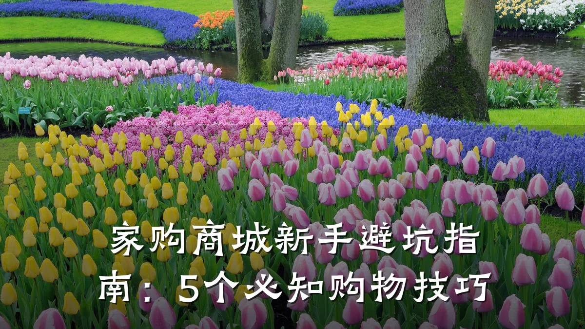 家购商城新手避坑指南：5个必知购物技巧