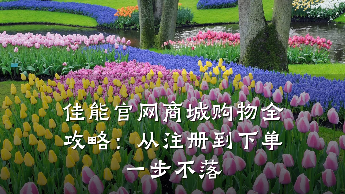 佳能官网商城购物全攻略:从注册到下单一步不落